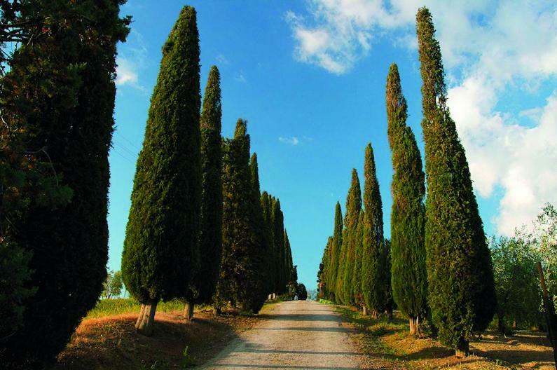 Le Traverse Pienza Luaran gambar